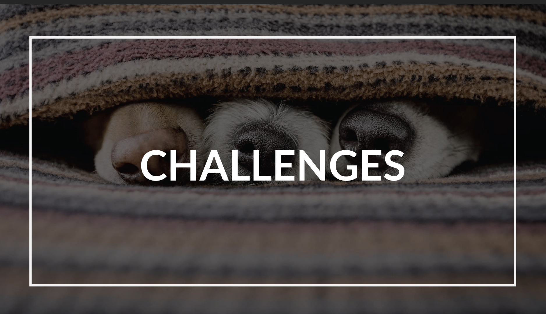 spay_la_challenges